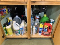 Cabinet full of cleaning supplies