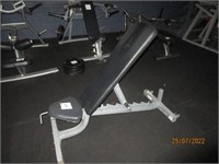 Steel framed adjustable dumbbell exercise bench