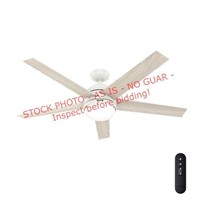 Hunter 60in.Coriolis ceiling fan with light