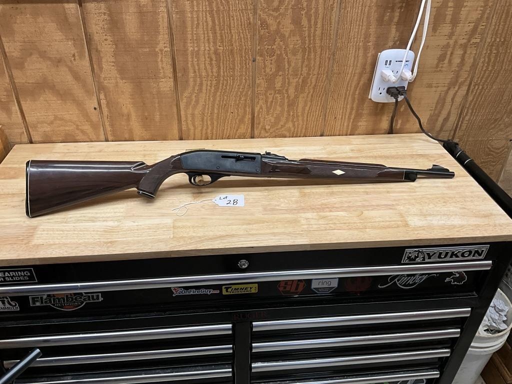 Remington Nylon 66 - 22 LR Semi Auto