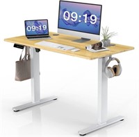 SMUG Standing Desk, 48 x 24 in Electric Height Adj