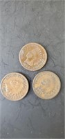 1895, 1890, 1906 Indian head pennies