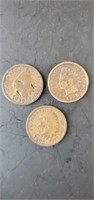 1899, 1905, 1906 Indian head pennies