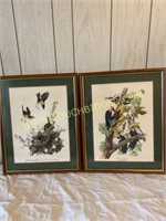 Audubon Style Prints