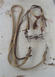 Leather headstall w/ reins