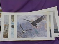 Eagle prints
