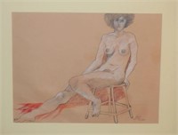 Rosemary Zwick- Nude Model Color Pencil Drawing