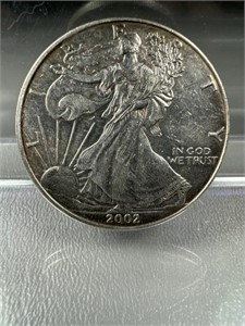 2002 1oz. Silver Eagle