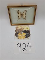 Retro Butterfly Wall Art, Extra Butterflies