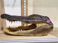 Alligator Head