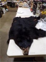 Black bear Pelt