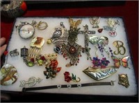 Showcase of jewelry. Necklaces, pins and more.