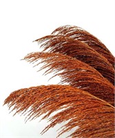 BURNT ORANGE PAMPAS GRASS TALL, 4PCS 43. 3IN