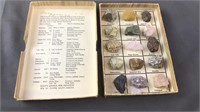 Rock Mineral Collection Box