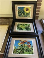 Lot of 3 Photographs of Flowers