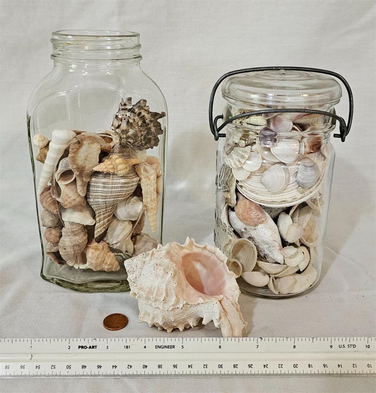 Ocean shell jar lot