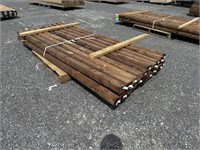 (20) Pcs Of Pressure Treated Mini Ties