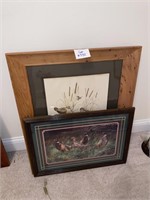 Wildlife Pictures and Frames