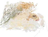 Dried Flower Immortality Dry Flower Material