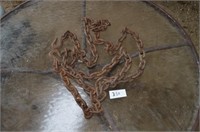 Log Chain with Hooks (14') 3/8"