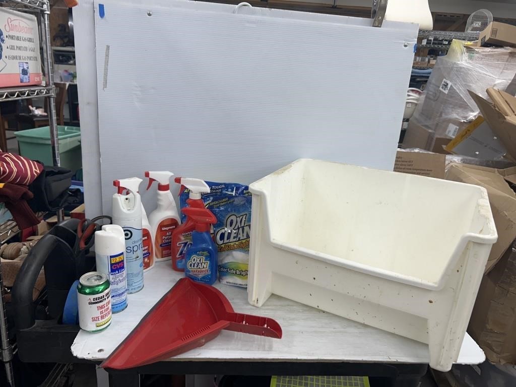 Bin of cleaning supplies