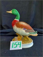 Mallard Duck - Andrea