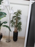 Decorative Indoor Bamboo Plant