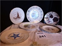 Collection of Collector Plates