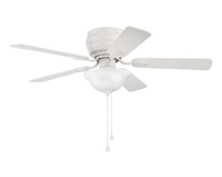 Indoor ceiling fan