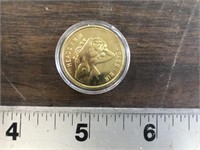 NUDE COIN