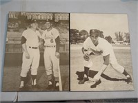 Sealed Baseball Print Musial Mantle Koufax MLB
