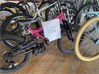 10 Customer Return Bicycles
