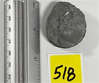 Amazing Iron Pyrite Fossil Germany