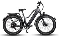 Dirwin Pioneer Fat Tire E-Bike-Gray