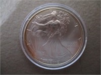 2002 Colorized American Eagle Silver Dollar