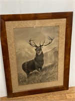 L.M. Groves Elk. Picture. 23.5 x 29.5” framed