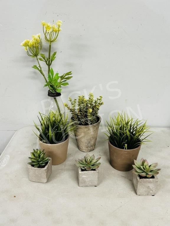 Collection of artificial plants