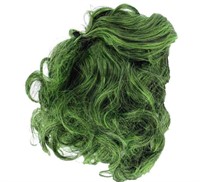 Zak's alter ego green joker wig for men