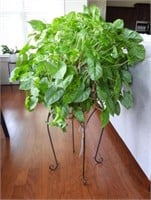 Contemporary plant stand and plant