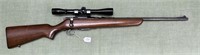Savage Arms Model 342