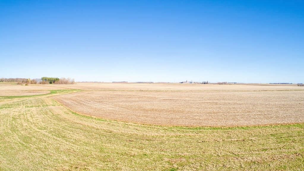 156.44 Acres m/l in Jackson County, MN