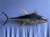 Yellow finned tuna taxidermy 52" long