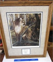 COUGAR / MOUNTIAN LION MATTED PRINT !