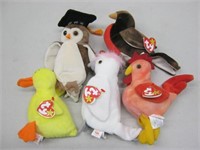 5 Ty Beanie Baby Birds