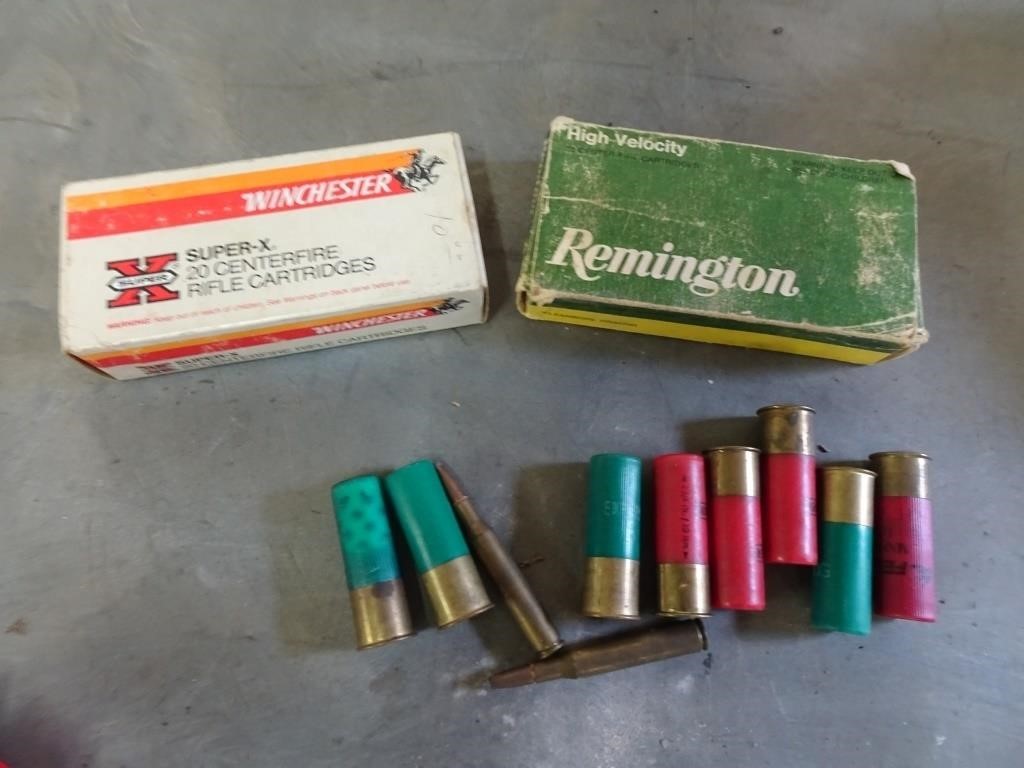 Shotgun Shells and Rifle Rounds - Ammunition