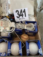 Miscellaneous Bulbs (Garage)
