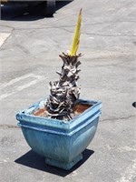 Palm tree in glazed terracotta pot,