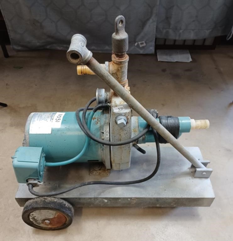 Electric water pump on heavy duty cart