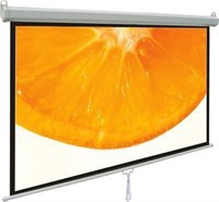 VIVO 80' Projector Screen White Home Theater