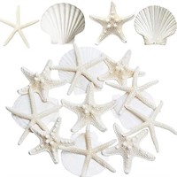 JQAQJU Starfish and Scallop Shells for Crafts